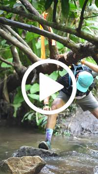 BIB:  <button type="button" onclick="openModal(27824331)" class="btn btn-primary btn-sm float-right" data-toggle="modal" data-target=".modal-high-quality">
                <i class="fa fa-download"></i> Download
                </button>